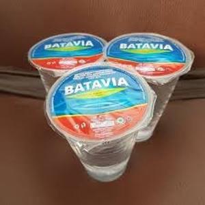 Image for product 560-17641ee0789-BATAVIA-CUP